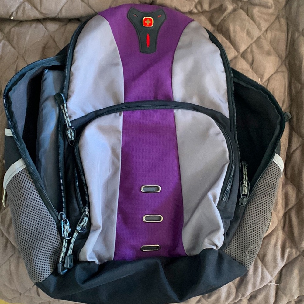 Swiss gear back pack Purple